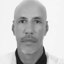 أفق البناء وطموح الوطن/محمد ولد سيداتي