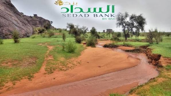 تساقطات مطرية على 5 ولايات من الوطن ( مقاييس )