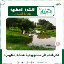 تساقطات مطرية في جنوب ولاية لعصابه ( مقاييس)