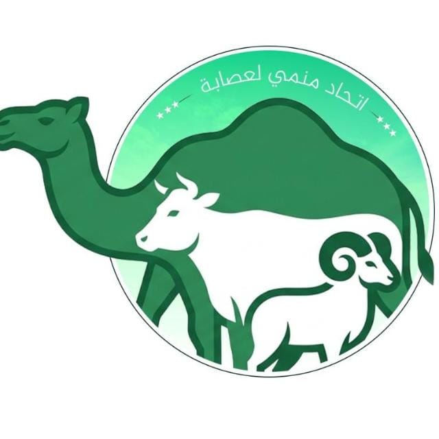من العفوية إلى الرسمية .. هل انتهت الأيام الذهبية "لتجمع منمي لعصابه"؟